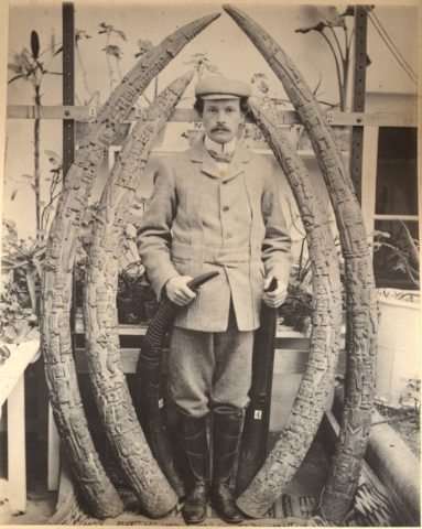 Looted artefacts at Benin Kingdom during the punitive expedition