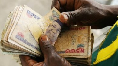 Nigerian currency notes