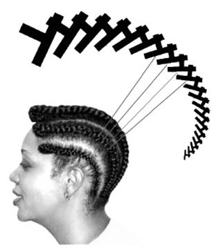 African Cornrow hairstyle